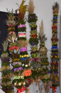 DSC_0665 (2)